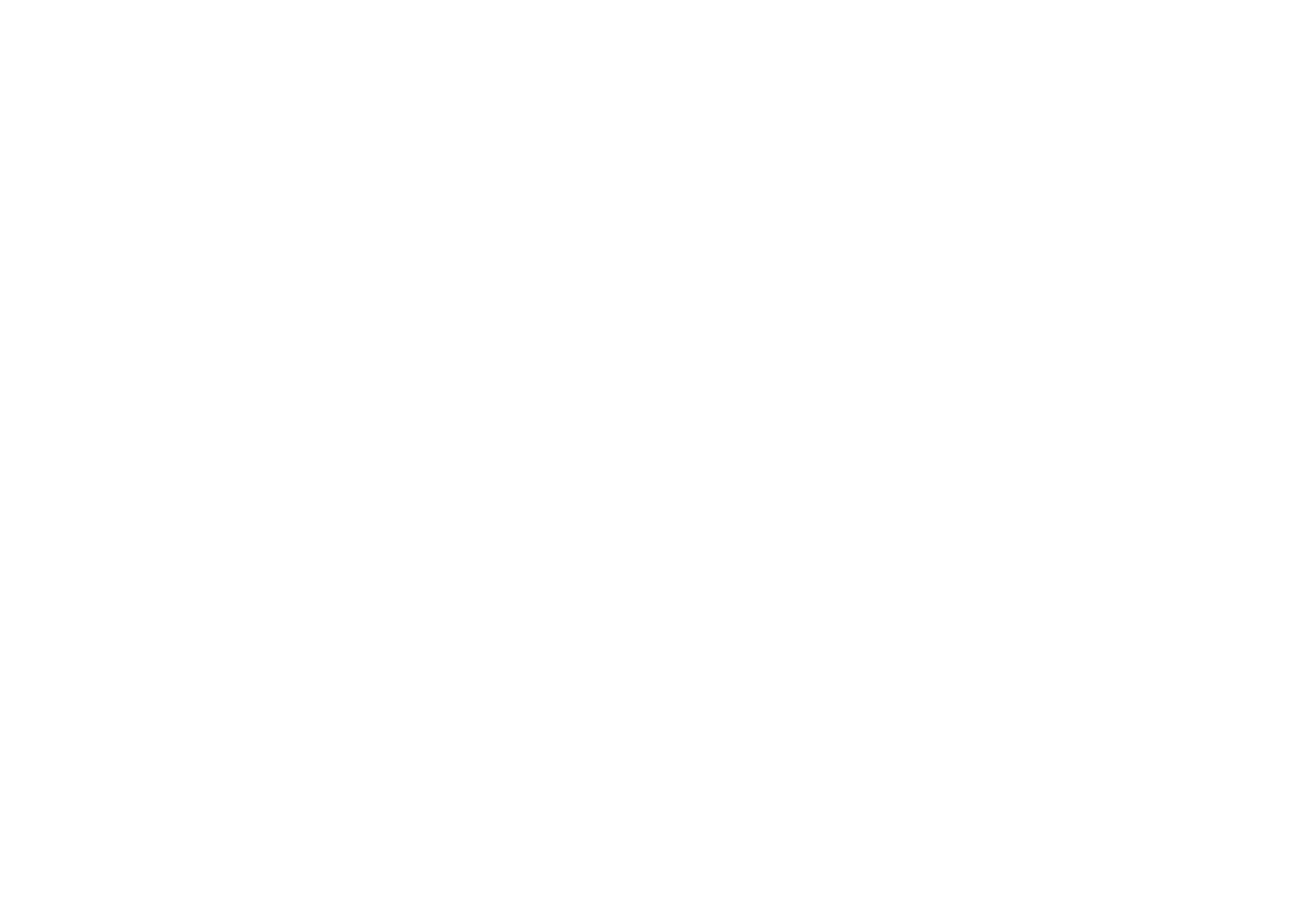 VISTA ALEGRE Logo